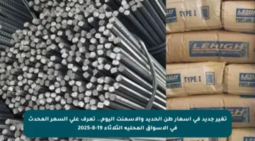 تغير جديد في أسعار طن الحديد والأسمنت اليوم.. تعرف على السعر المحدث في الأسواق المحلية الثلاثاء 19-8-2025
